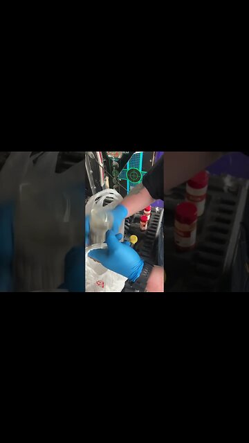 Preparing some chicken drumsticks.