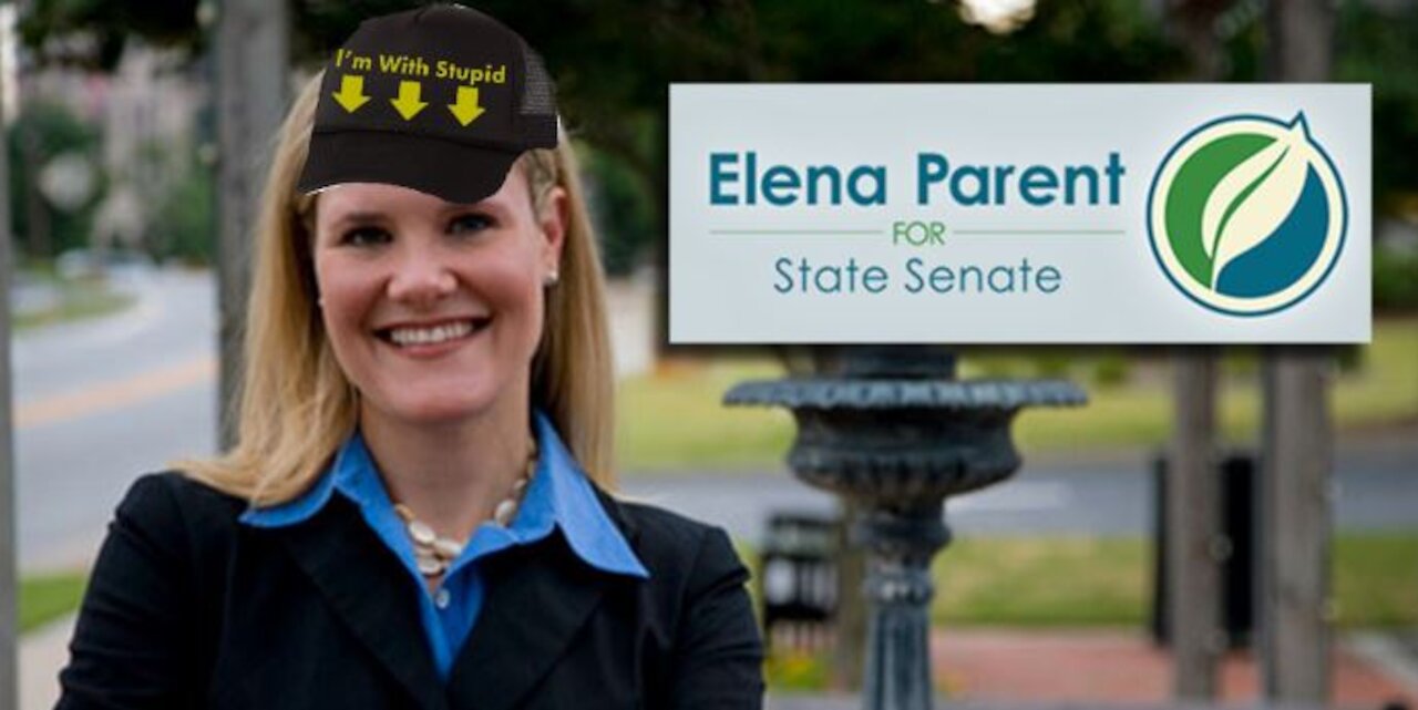 Georgia Democrat Elena Parent Gets Wrecked By Law Professor