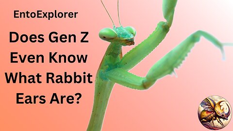 Introduction to Insect Morphology - Part 8 - The Antenna