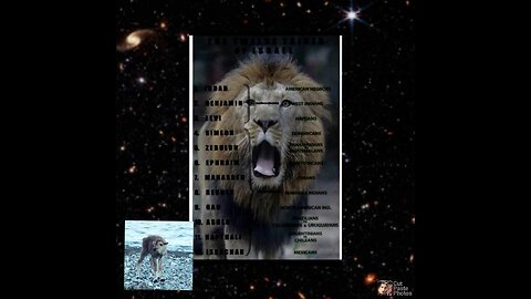 🐑🦁📜The Analogy Of Sheep In the Scriptures📜🐑🦁