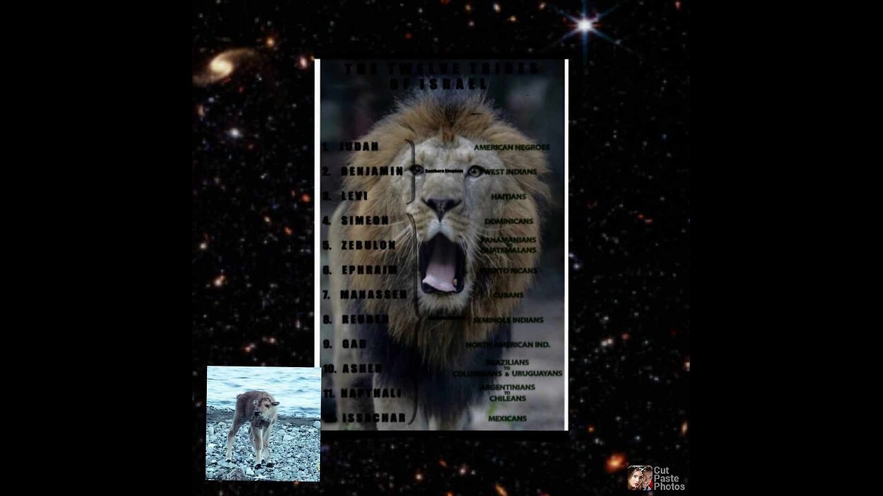 ๐๐ฆ๐The Analogy Of Sheep In the Scriptures๐๐๐ฆ