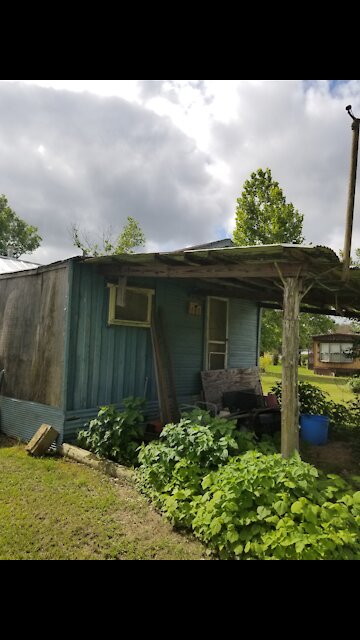 EP 4 - THE HONEY MONEY PROJECT