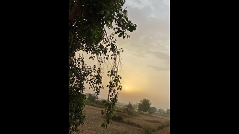 1 vlog