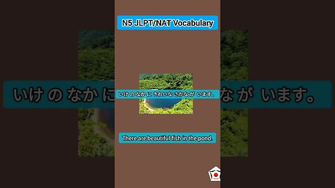 Japanese Word For Everyday Life Use - Basic Vocabulary 05 Words 🗾 #japanese #language