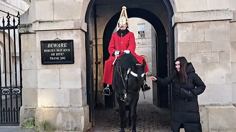 The Horse not in the mood for a photo #horseguardsparade