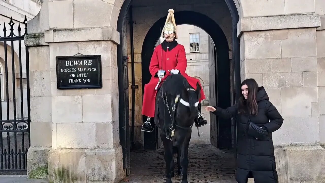 The Horse not in the mood for a photo #horseguardsparade