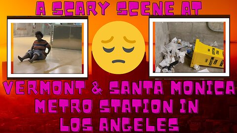 A Scary Scene At Vermont & Santa Monica Metro Station In Los Angeles