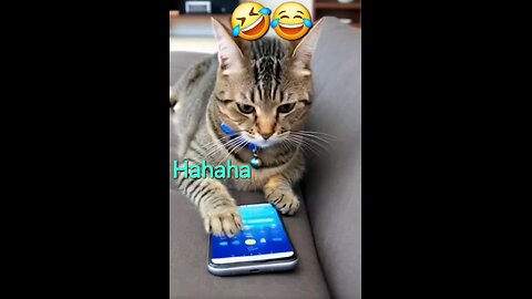 Comedy Video