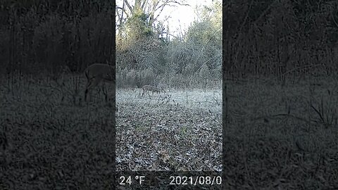 This can’t get here fast enough! Sound On!