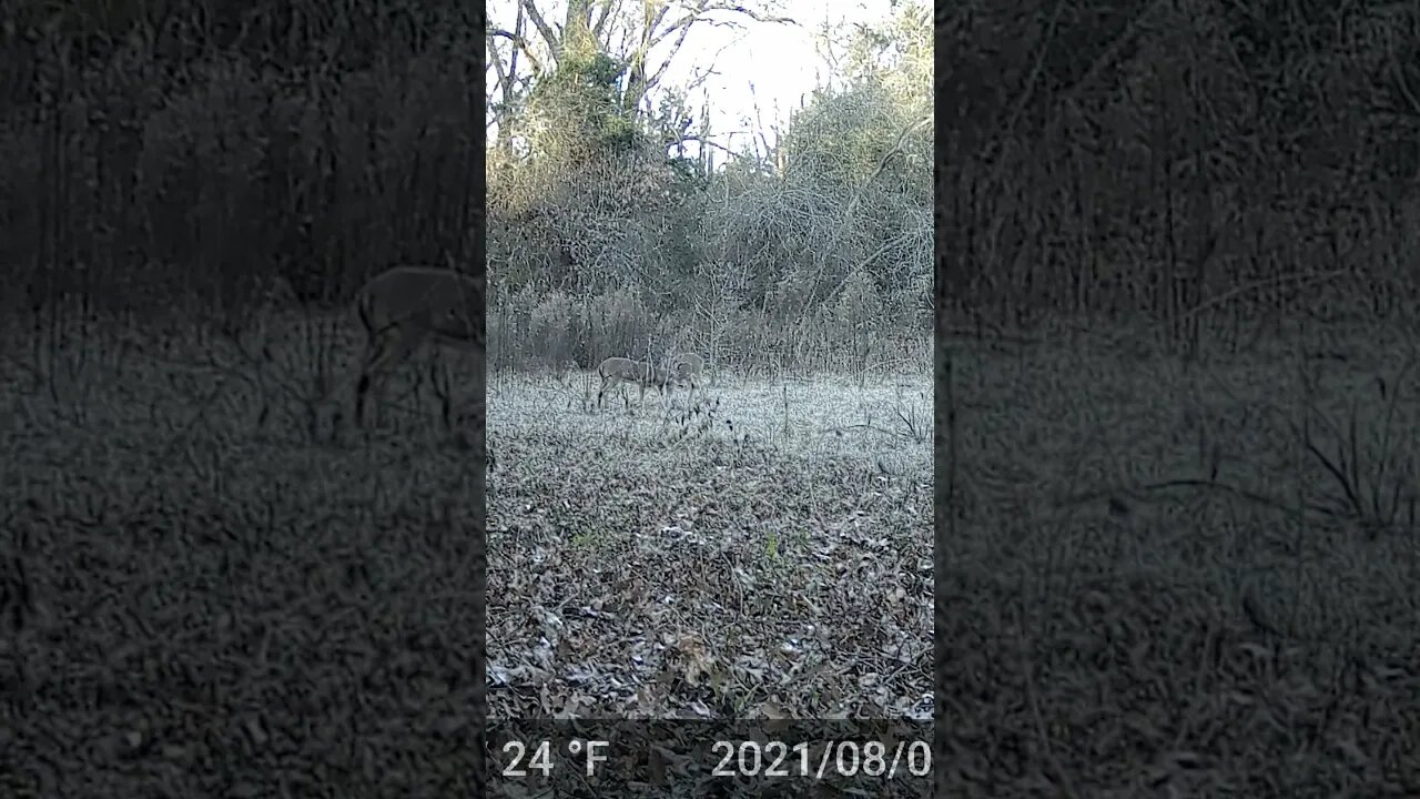 This can’t get here fast enough! Sound On!