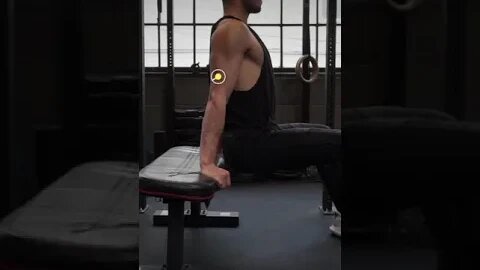 Bench Dips Triceps Exercise for Arms Workout