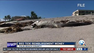 County leaders apply for state funds after red tide