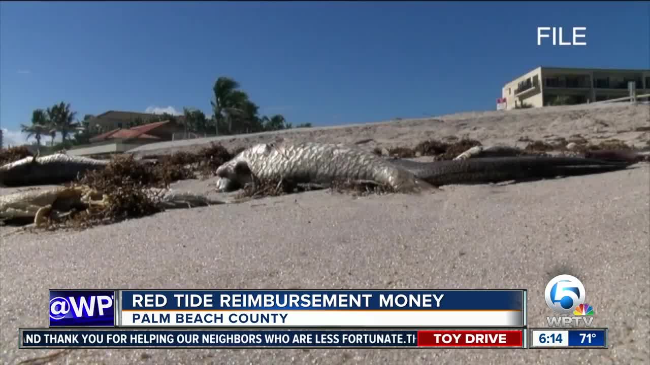 County leaders apply for state funds after red tide