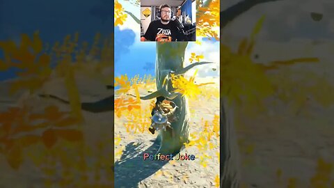 good joke #thelegendofzelda #tearsofthekingdom #zelda #reaction #reactionvideo #reactionshorts #fypシ
