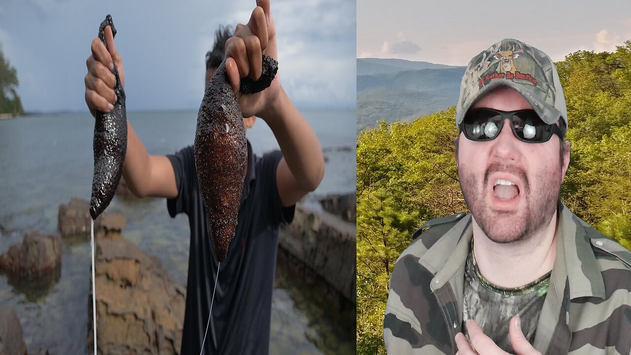 Black Sea Cucumber - Cook And Eat Sea Cucumber Animal (Wilderness Food) - Reaction! (BBT)