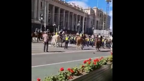 Melbourne Australia fights back