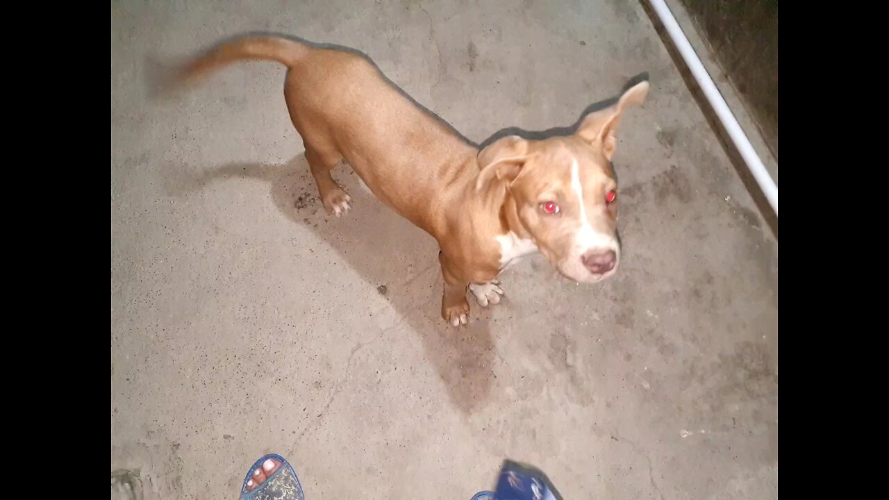 I don't understand she want eating or playing?