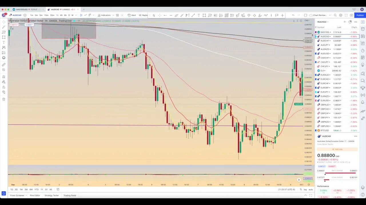 Chart review: September 24 - Forex