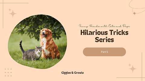 Funny Pranks with Cats and Dogs: Hilarious Tricks Series - Part 5