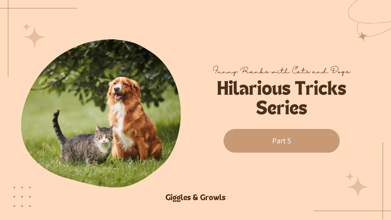 Funny Pranks with Cats and Dogs: Hilarious Tricks Series - Part 5