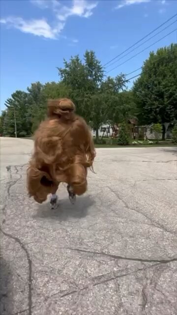 Which Costume Went the Hardest🤔