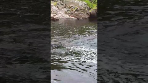 The river Spean Scotland