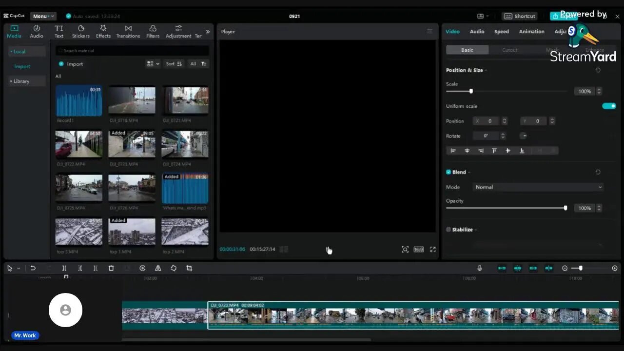 How I use Bard Eleven labs and CapCut to make a social media video with voiceover all for free