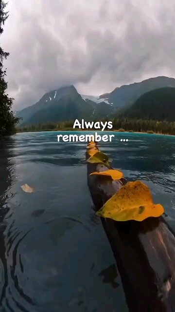 Follow my YouTube channel link is in the description 4