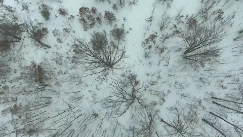 Cold Weather Environment