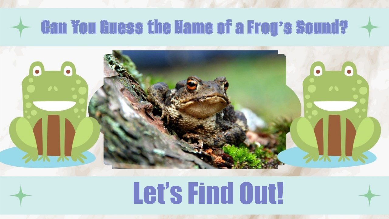 The Surprising Name of a Frog's Voice Revealed!
