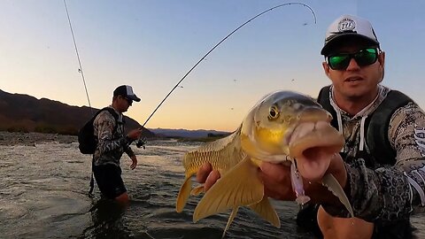 TRAVELLING THROUGH THE HEART OF THE RICHTERSVELD TO FISH FOR YELLOWFISH IN THE ORANGE RIVER! part. 2