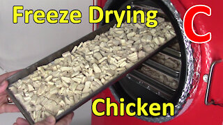 Freeze Drying 2 Batches of Chicken