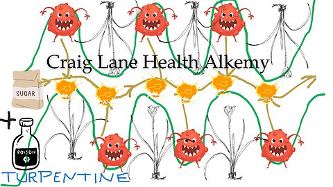 Health Alkemy Craig Lane Comm-Unity Talks - Brain Fog, Space Egg Aliens & Fly Paper