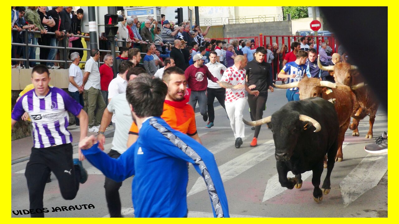 ALFARO ( LA RIOJA ) MATINAL ENCIERRO DE TOROS ( DOMINGO 15 MAYO 2022 ) TOROPASION