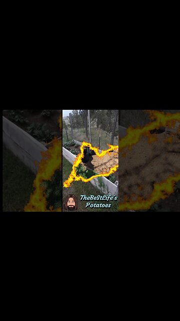 Unique Prepping Shorts: Best Friends One Month Potato Garden Update