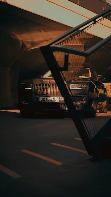 Only Rule In The Jungle!