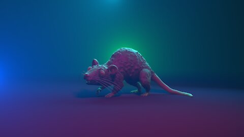 Day19.vermin - Rat Time-lapse