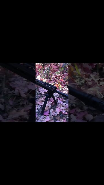 Who’s winning this??