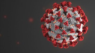 Ask Dr. Nandi: It's not just Delta other coronavirus variants also worry scientists
