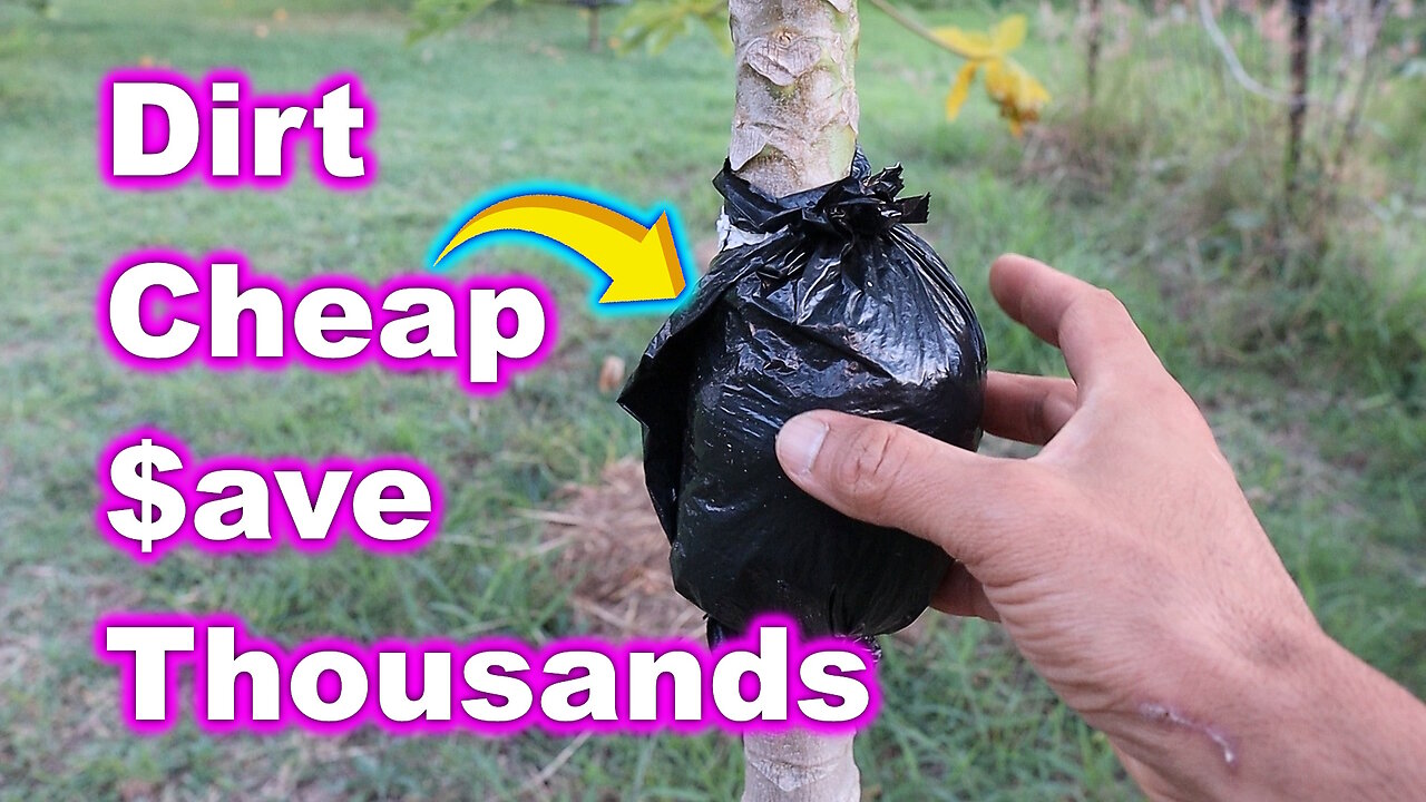 Gardening Secrets They Don't Want You To Know 🤫