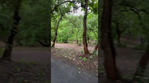 Nature ❤️ #trendingshorts #shortvideo #travel #youtubeshorts #shorts #youtubevideos #shortsfeed