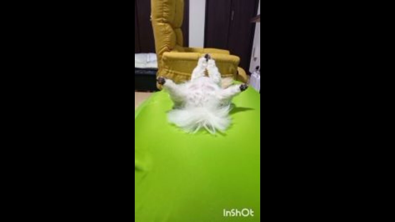 Pray for your heart!