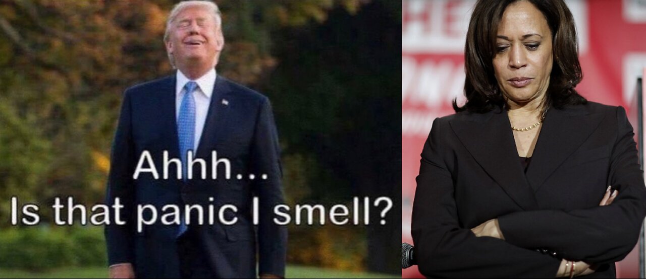 PANIC?! CNN Reports Sources Close To Harris's Camp Say They Are Having ‘Flashbacks To 2016’