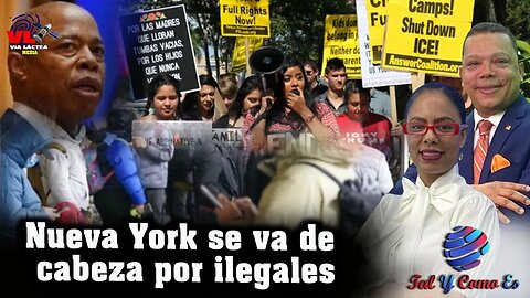 NUEVA YORK SE VA DE CABEZA POR ILEGALES - TAL Y COMOM ES