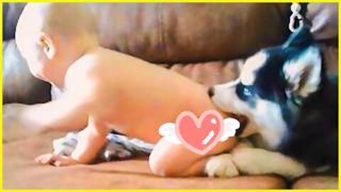 WATCH NOW: Best Video Of Funniest Baby And Dog || Peachy Vines