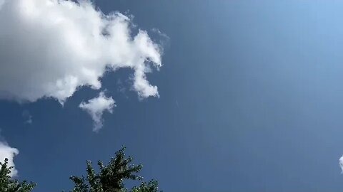 Backyard R&R