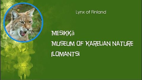Museum of north Karelian nature - quik trip