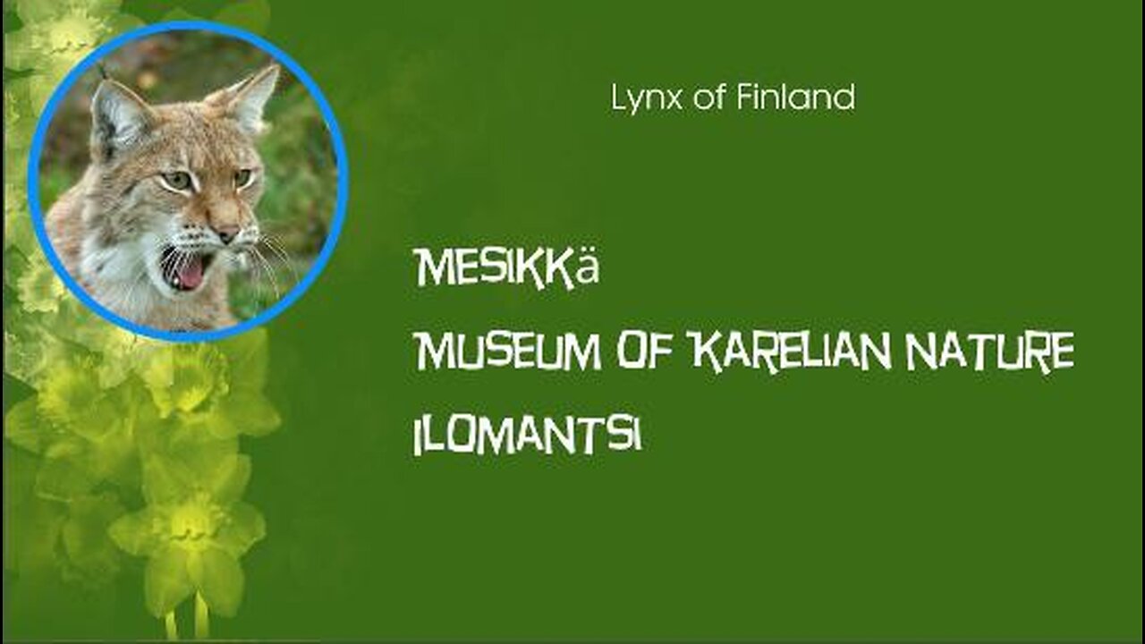 Museum of north Karelian nature - quik trip