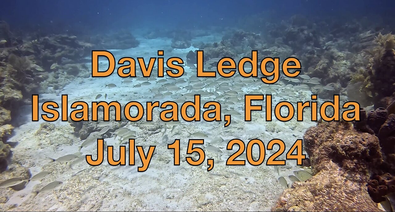 SCUBA Diving Davis Ledge, Davis Reef, Islamorada, Florida, U.S.A
