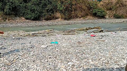collecting beautiful pebbles for lawn with my daughter